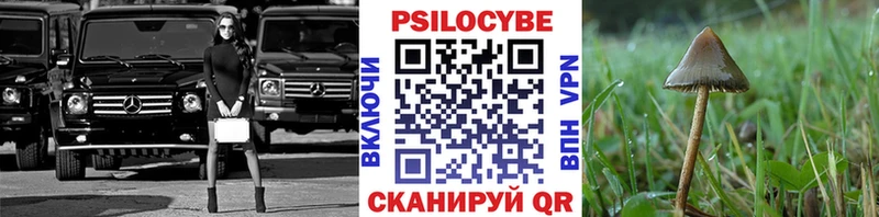 Галлюциногенные грибы ЛСД  Ревда 